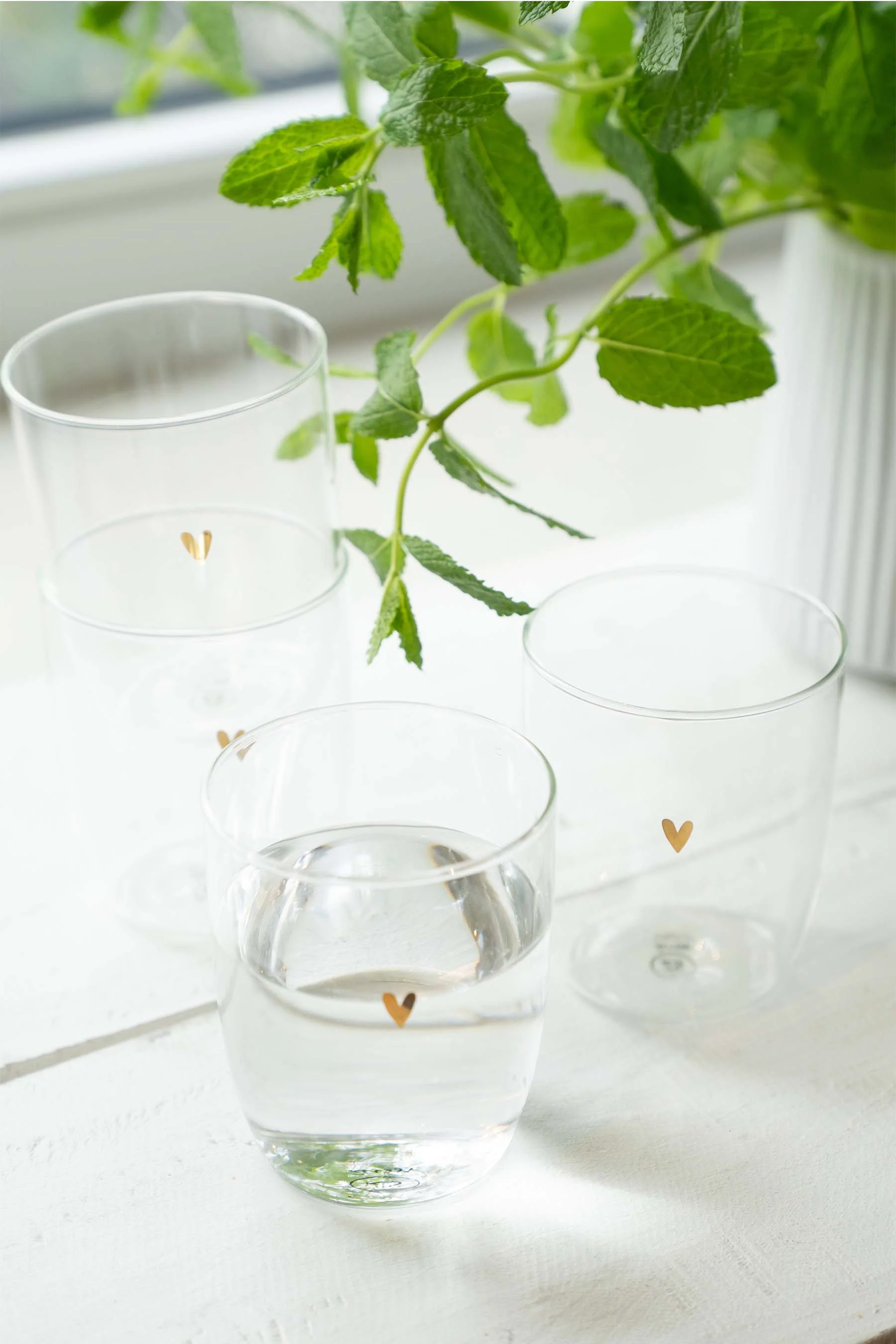 Miniatuur 3