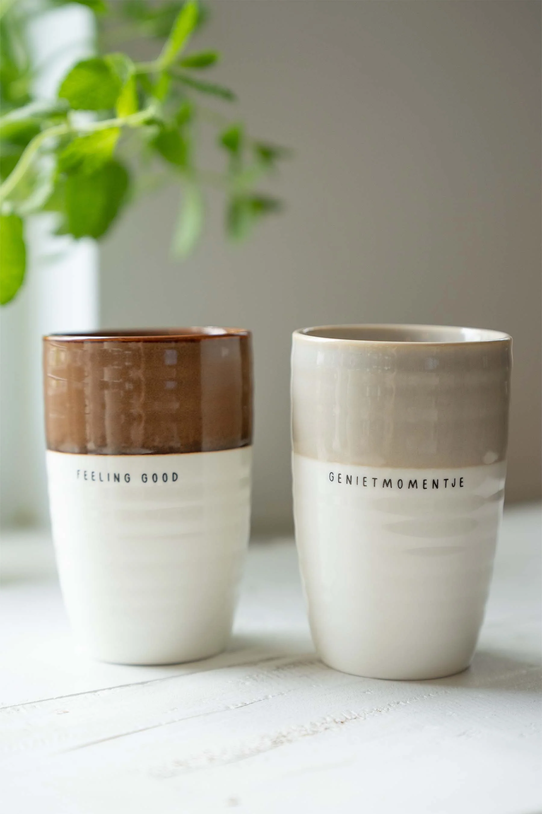Miniatuur 2